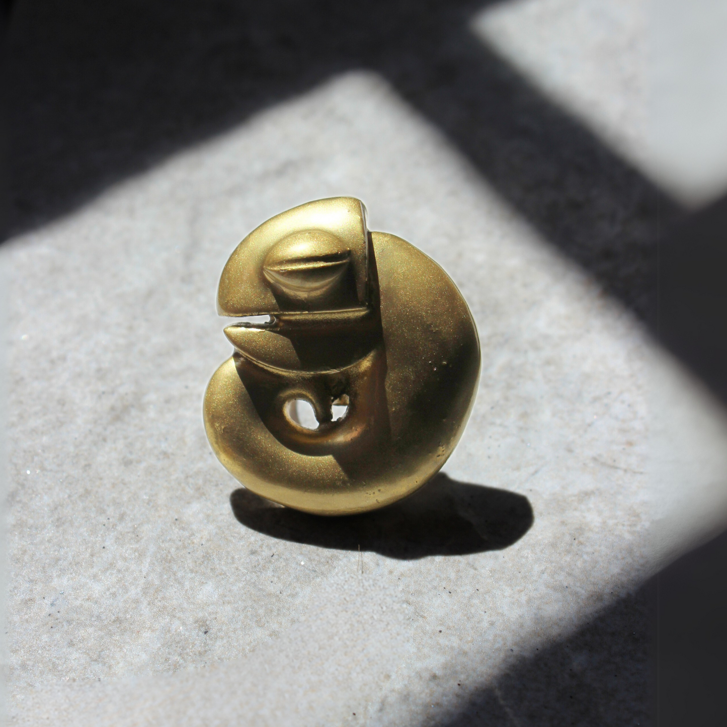 Anillo Camaleona